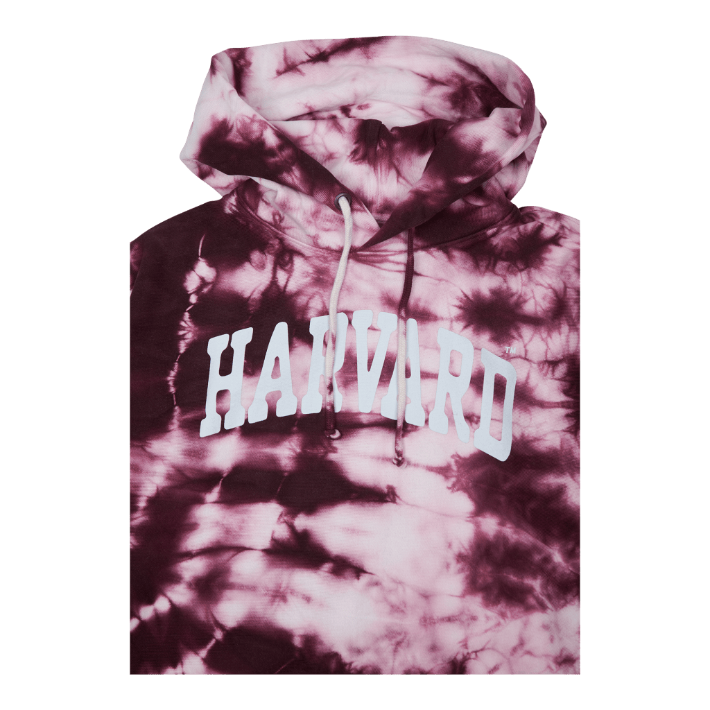 Hooded Sweatshirt Zib - Bild 3