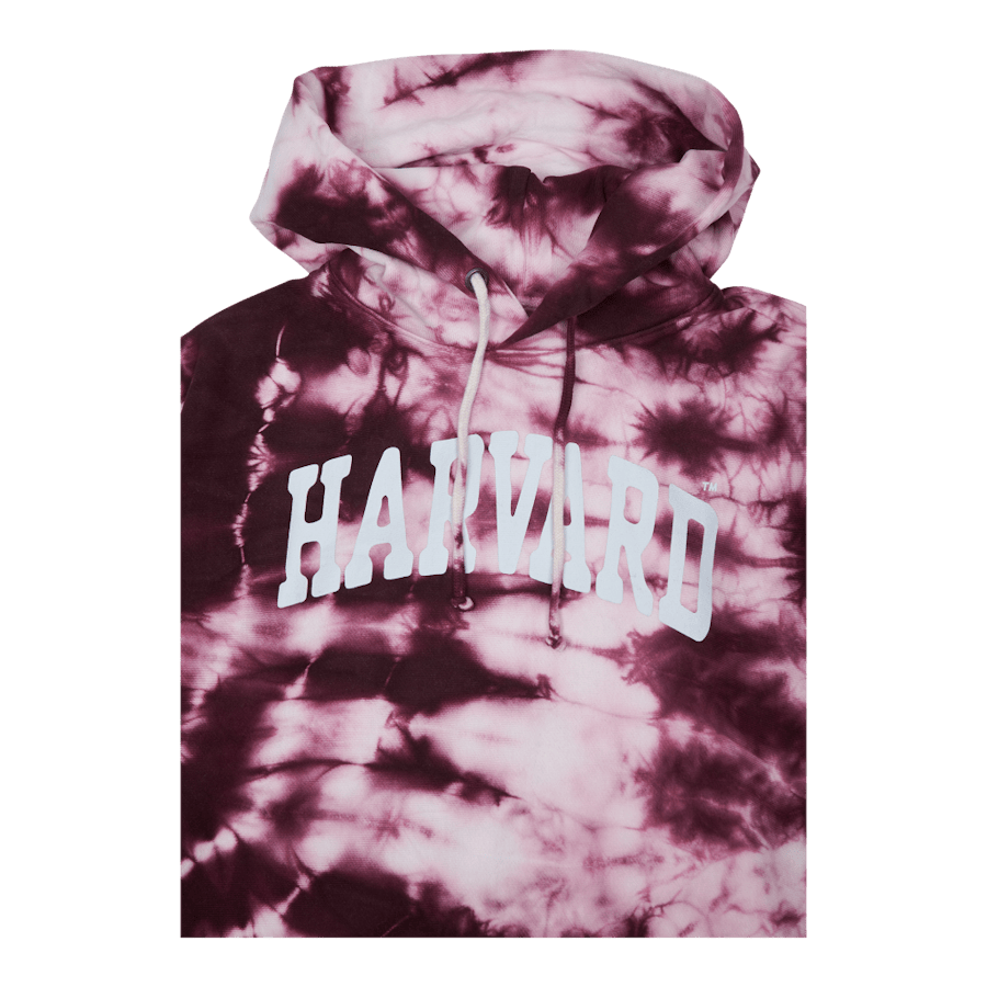 Hooded Sweatshirt Zib - Bild 3