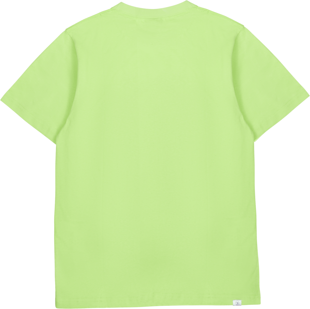 Scarecrow Ss Tee Kermit - Bild 2