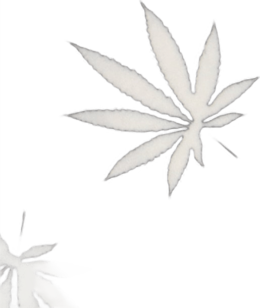 Huf Plantlife Nuggy Black - Bild 3