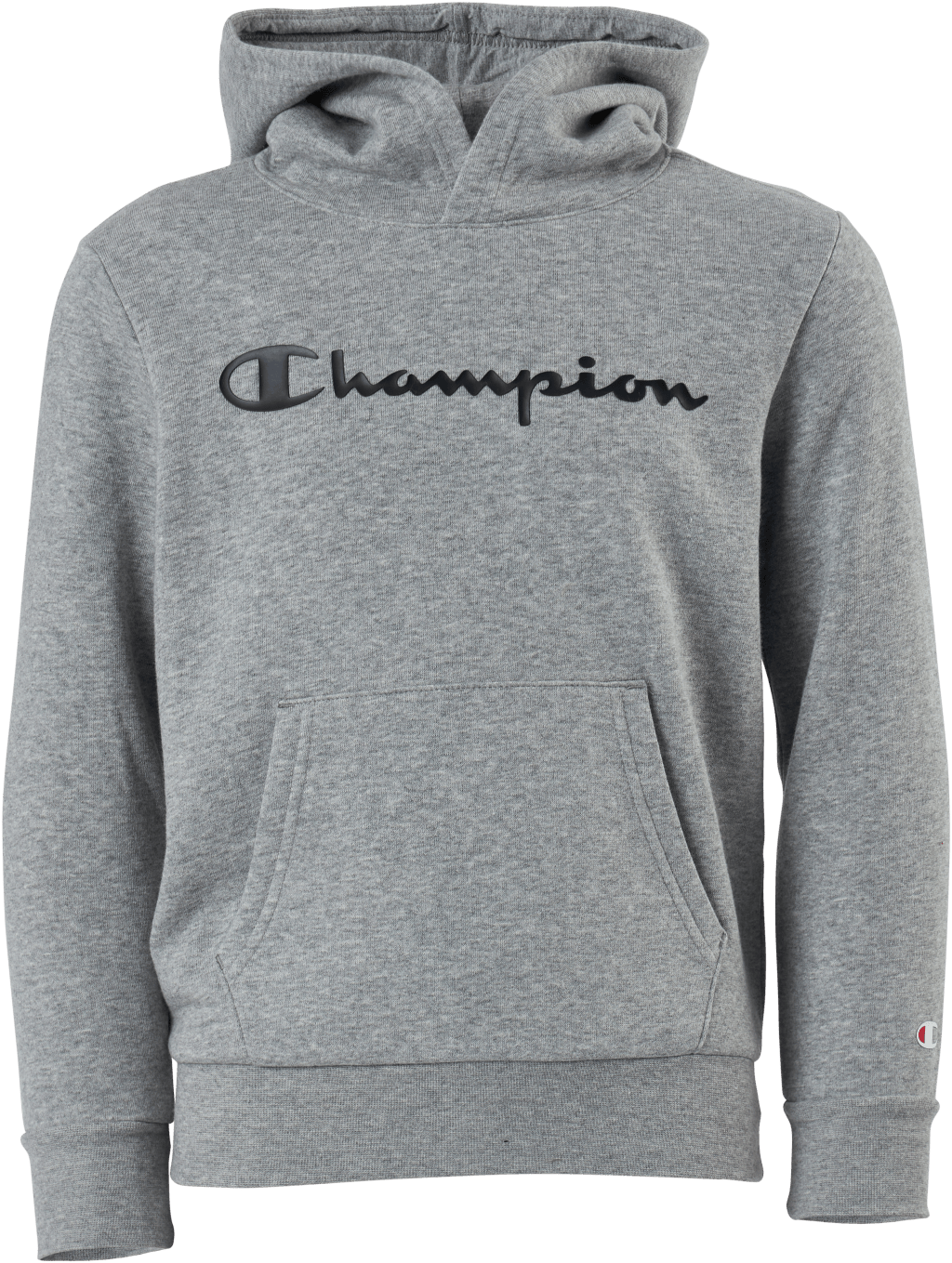 Hooded Sweatshirt Gray Melange Light