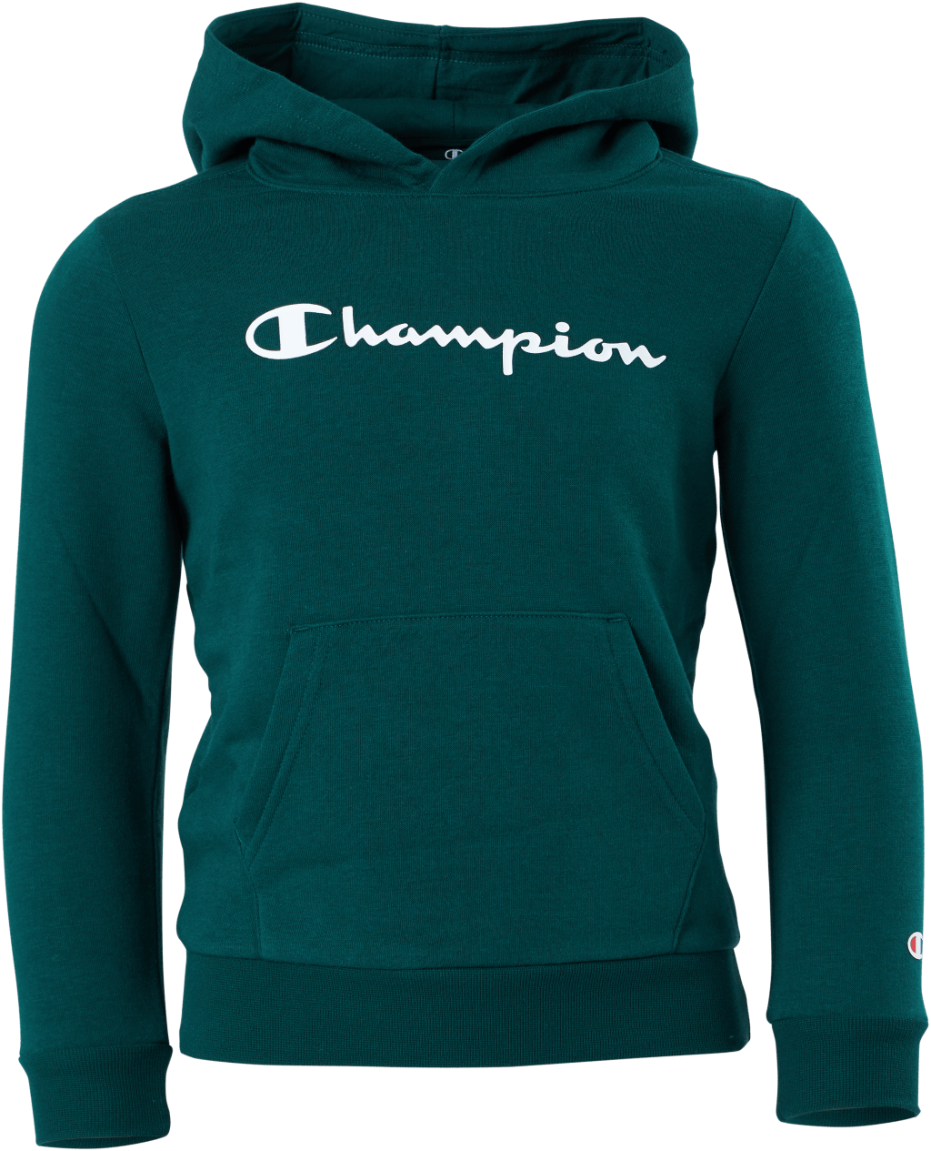 Hooded Sweatshirt Rain Forest