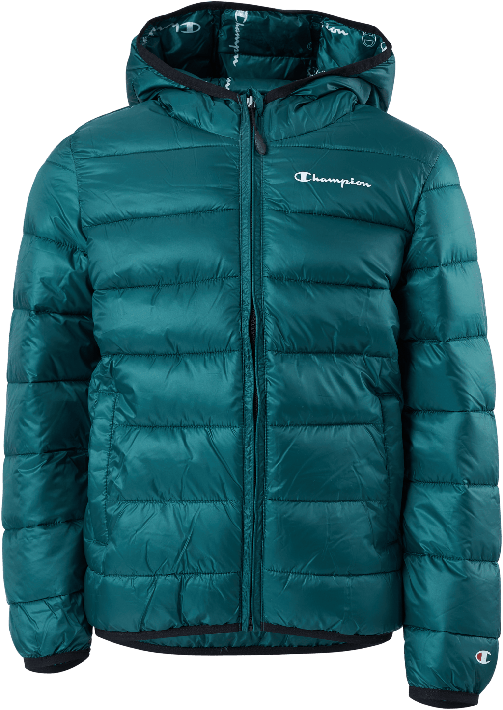 Hooded Jacket Rain Forest, Unisex, Apparels, jackets, Blue, XL