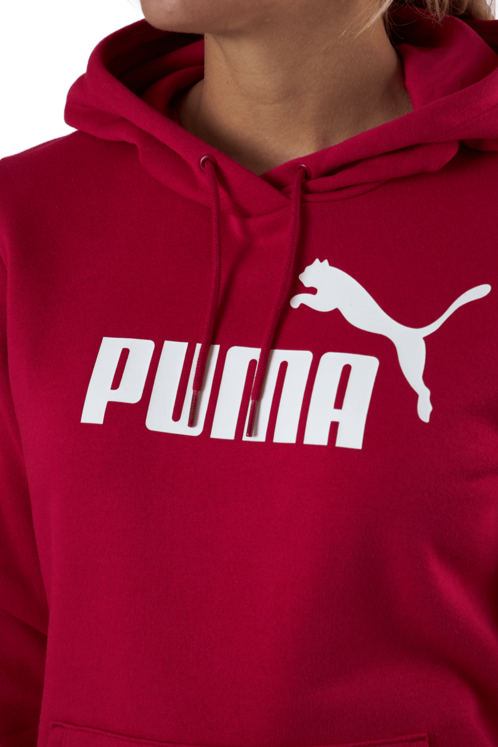 Ess Logo Hoodie Fl (s) Persian Red - Bild 4