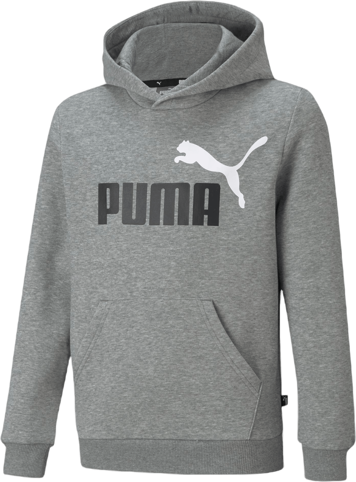 Ess+ 2 Col Big Logo Hoodie Fl  Medium Gray Heather