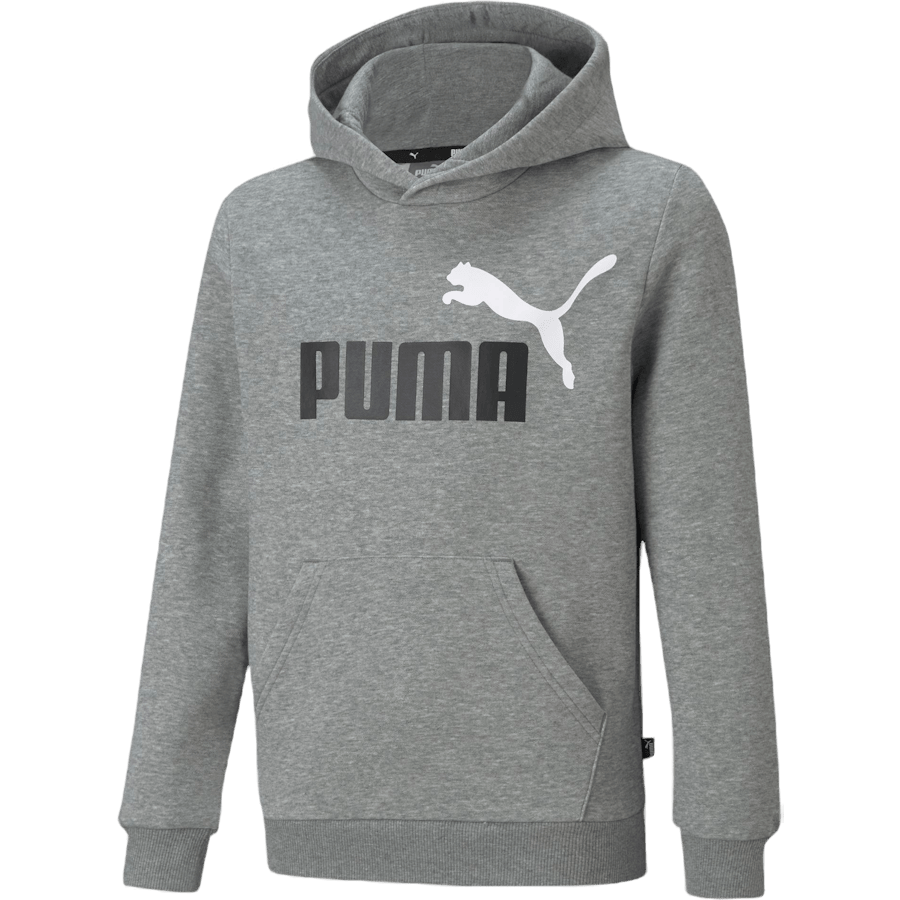 Ess+ 2 Col Big Logo Hoodie Fl Medium Gray Heather