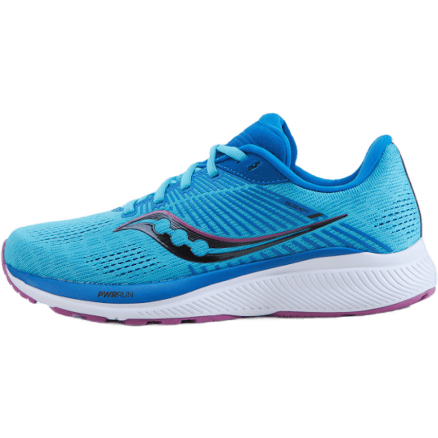 Guide 14 Blue Blaze/berry