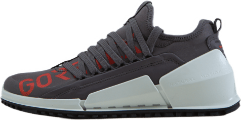 Ecco Biom 2.0 W Gravity/gravity