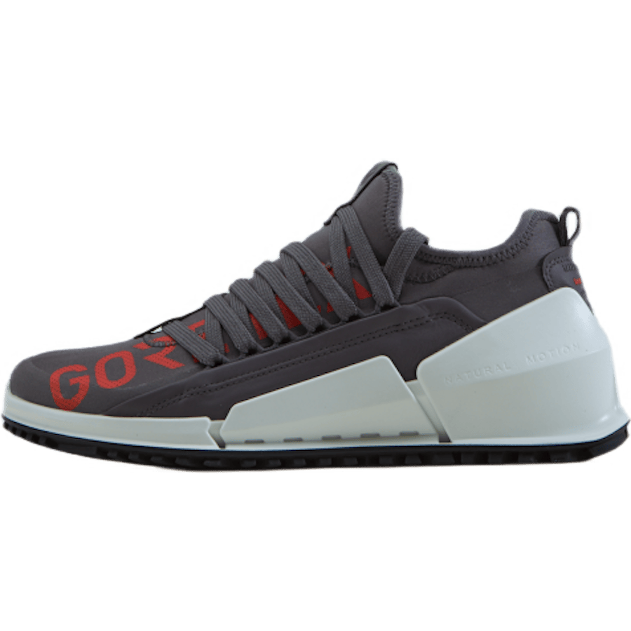 Ecco Biom 2.0 W Gravity/gravity