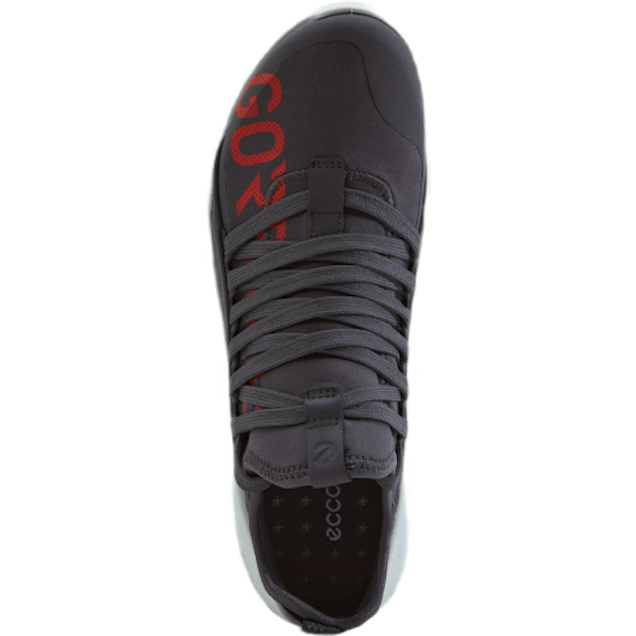 Ecco Biom 2.0 W Gravity/gravity - Bild 5