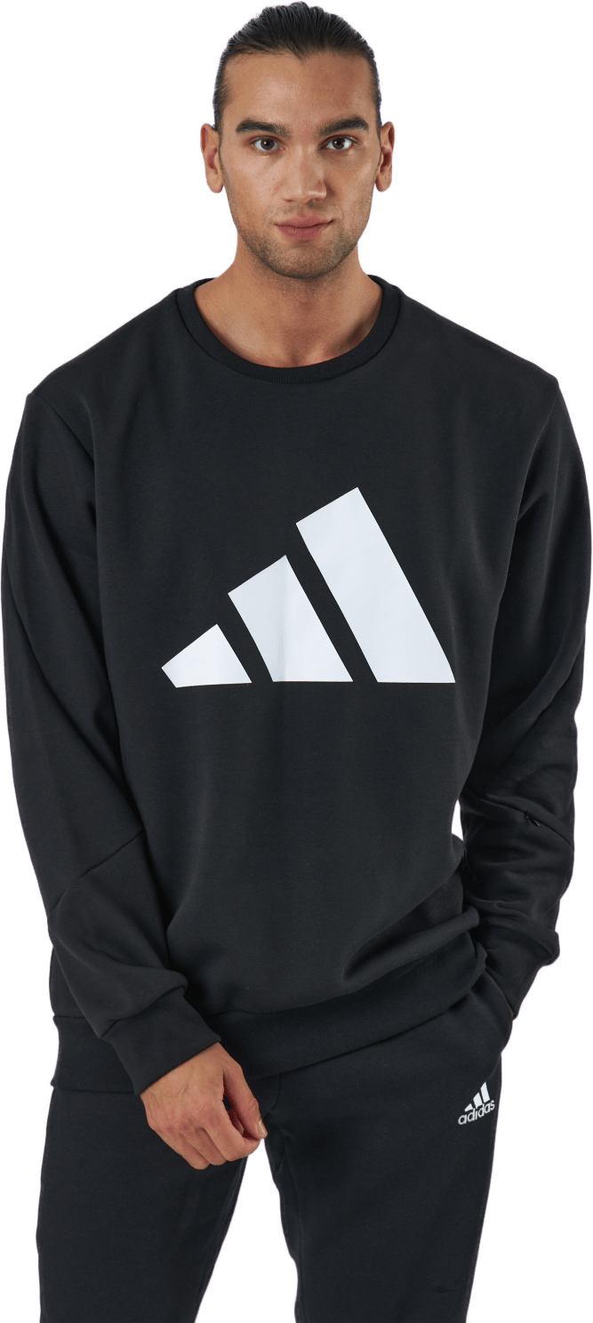 Sportswear Future Icons Winterized Sweatshirt Black, Male, Apparels, Shirts, Black, S