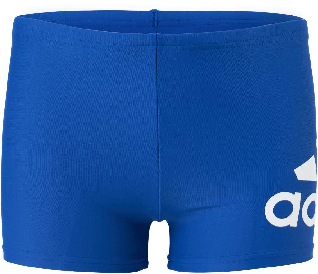 Boys Badge Of Sport Brief Team Royal Blue / White, Unisex, Apparels, Swimwear, Swimming, Blue, 128