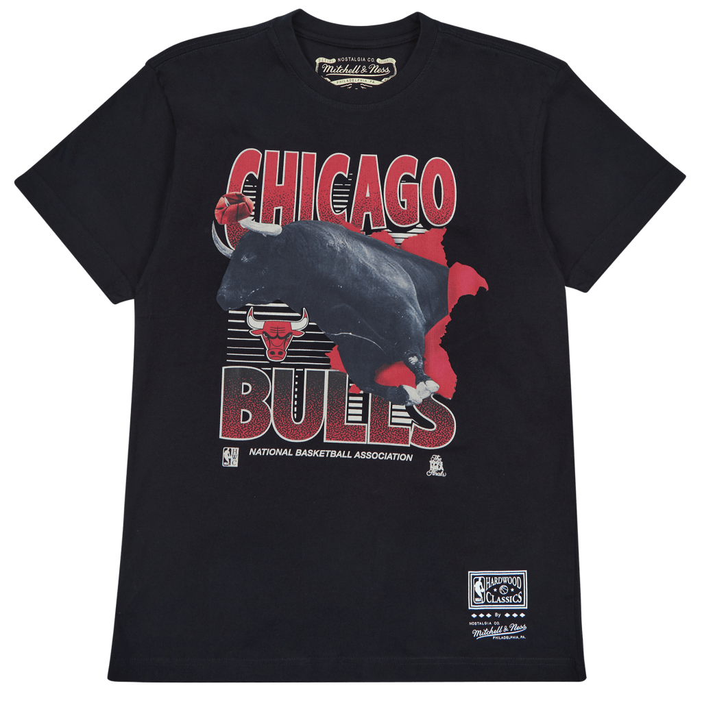 Bulls Scenic Tee, Male, Vêtements, Tops, Noir, XL