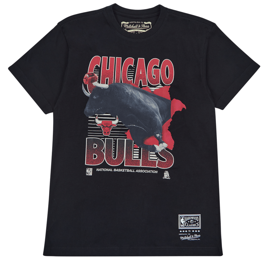 Bulls Scenic Tee