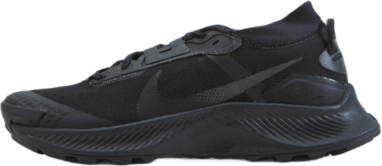Pegasus Trail 3 Gore-tex Men's Black/black-dk Smoke Grey-iron, Male, Buty, Buty treningowe, Bieganie, Czarny, EU 42,5