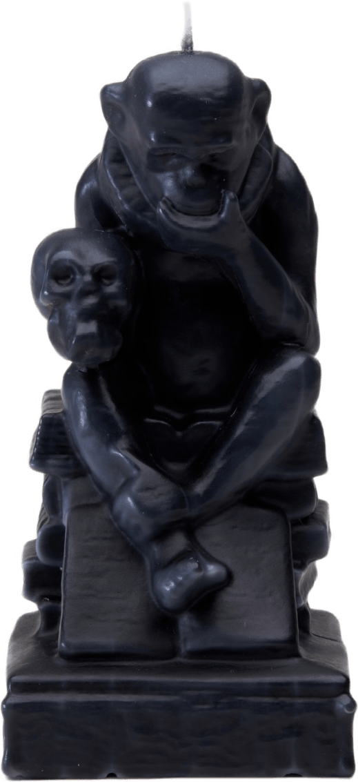 Ape / Candle Black, Unisex, Utrustning, Tillbehör, Svart, ONESIZE