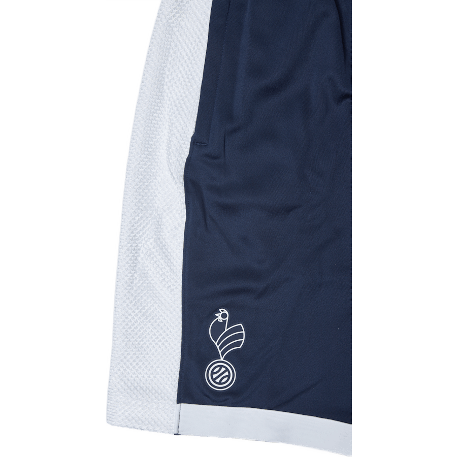 Jordan France Men's Basketball Shorts