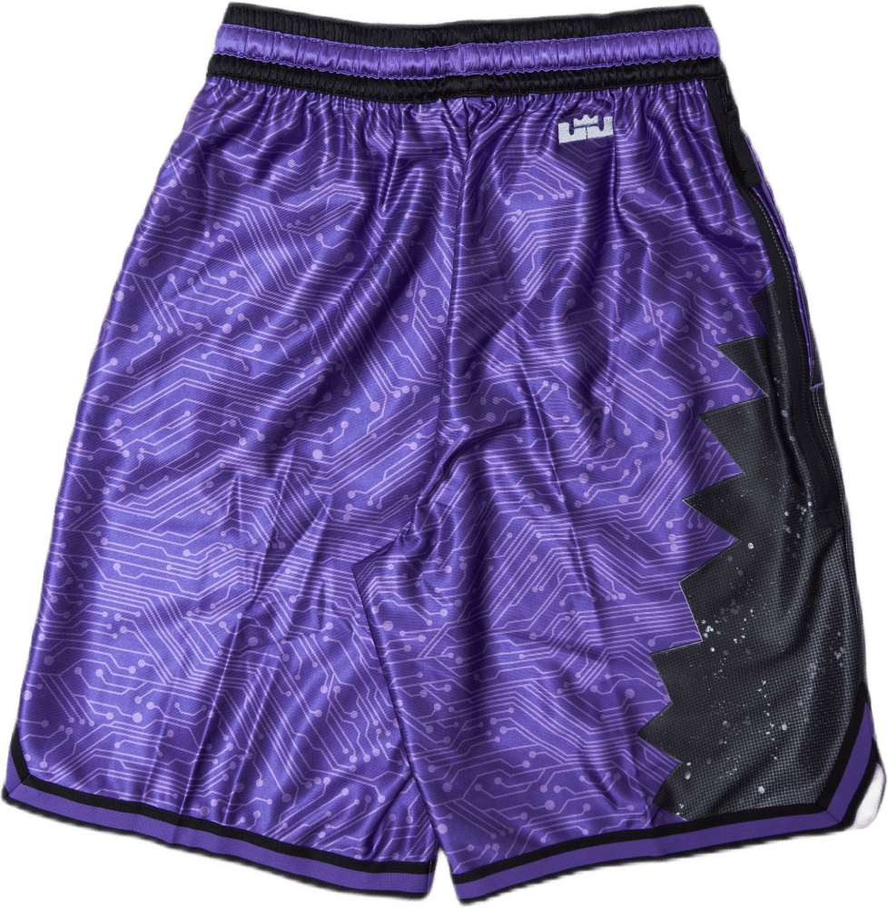 LeBron X Space Jam 2 Goon Hyper wolf - Bild 5