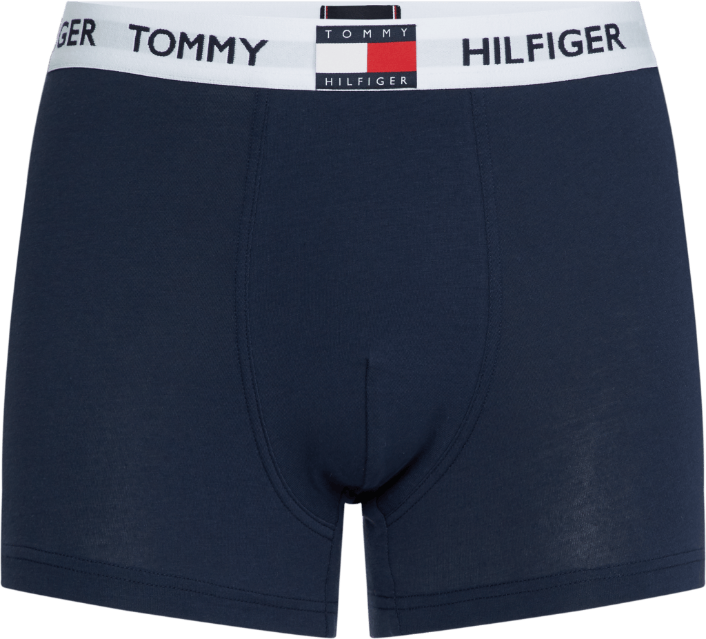 Trunk, Chs Navy Blazer, Male, Apparels, Underwear, Blue, M