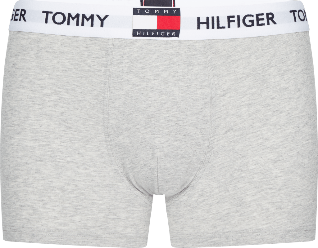 Trunk, P01 Light Grey Heather, Male, Apparels, Underwear, Grey, L