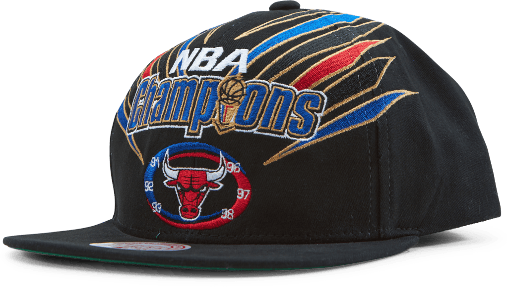 Bulls 1998 Champions