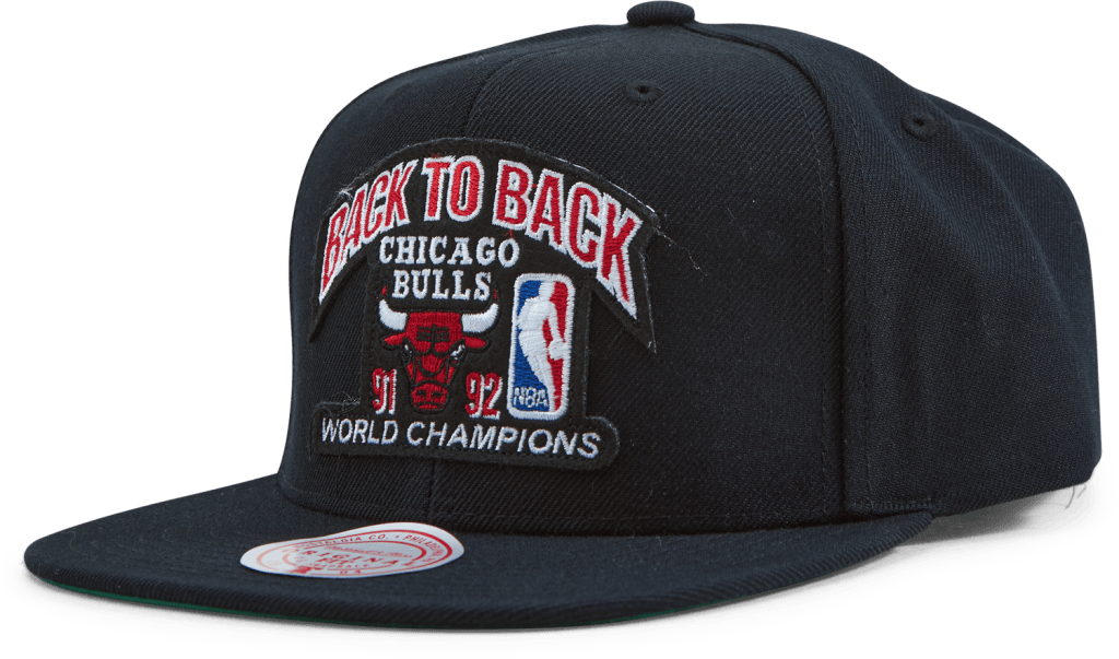 Bulls 1991-92 Back To Back Champs HWC
