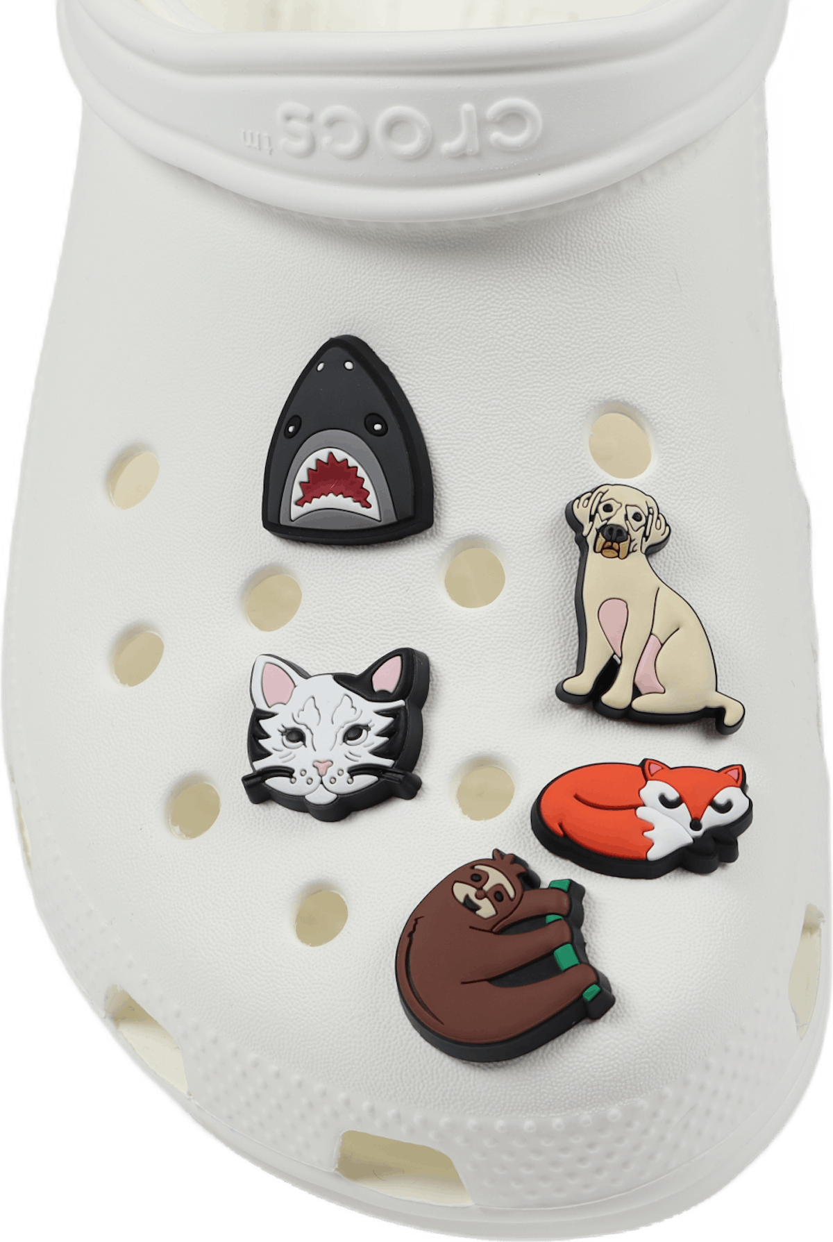 Jibbitz 5Pack JibbitzAnimalLover Sko til enhver lejlighed Footway