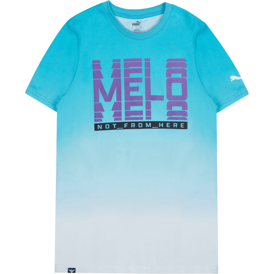 Melo Fade Ss Tee