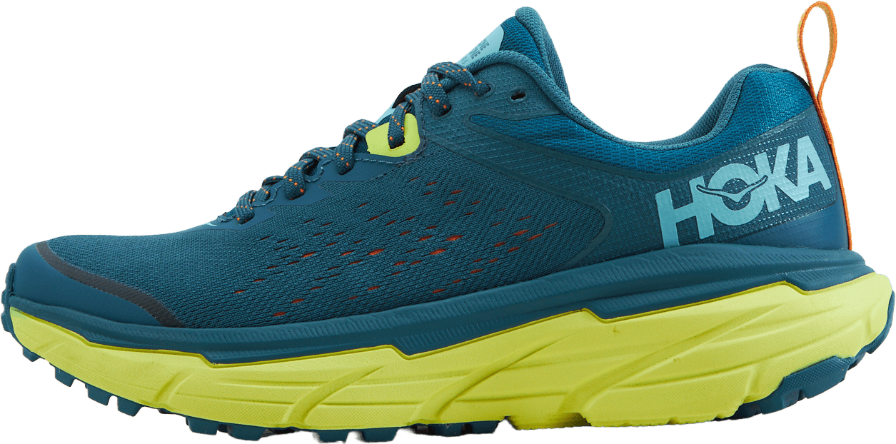 M Challenger Atr 6 Blue Coral / Evening Primrose, Male, Shoes, Running shoes, Running, Blue, EU 42