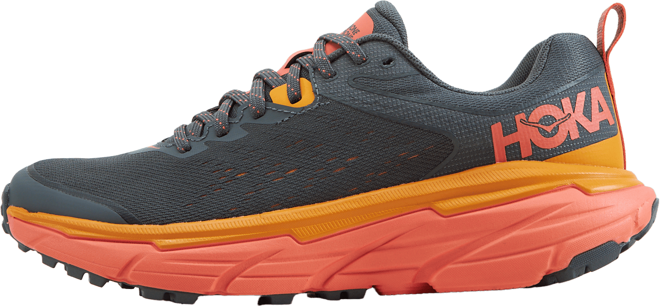 W Challenger Atr 6 Castlerock / Camellia, Female, Shoes, Running shoes, Running, Multi color, EU 36 2/3