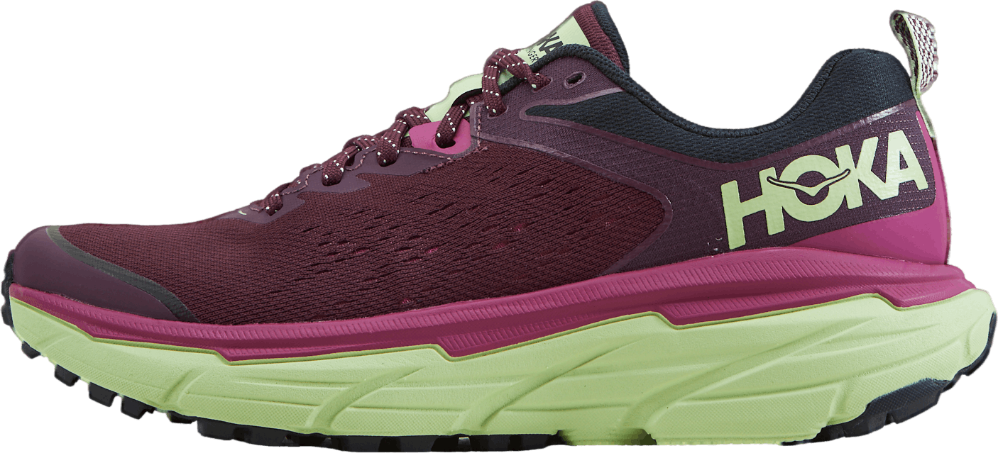 W Challenger Atr 6 Grape Wine / Butterfly, Female, Shoes, Running shoes, Running, Purple, EU 39 1/3