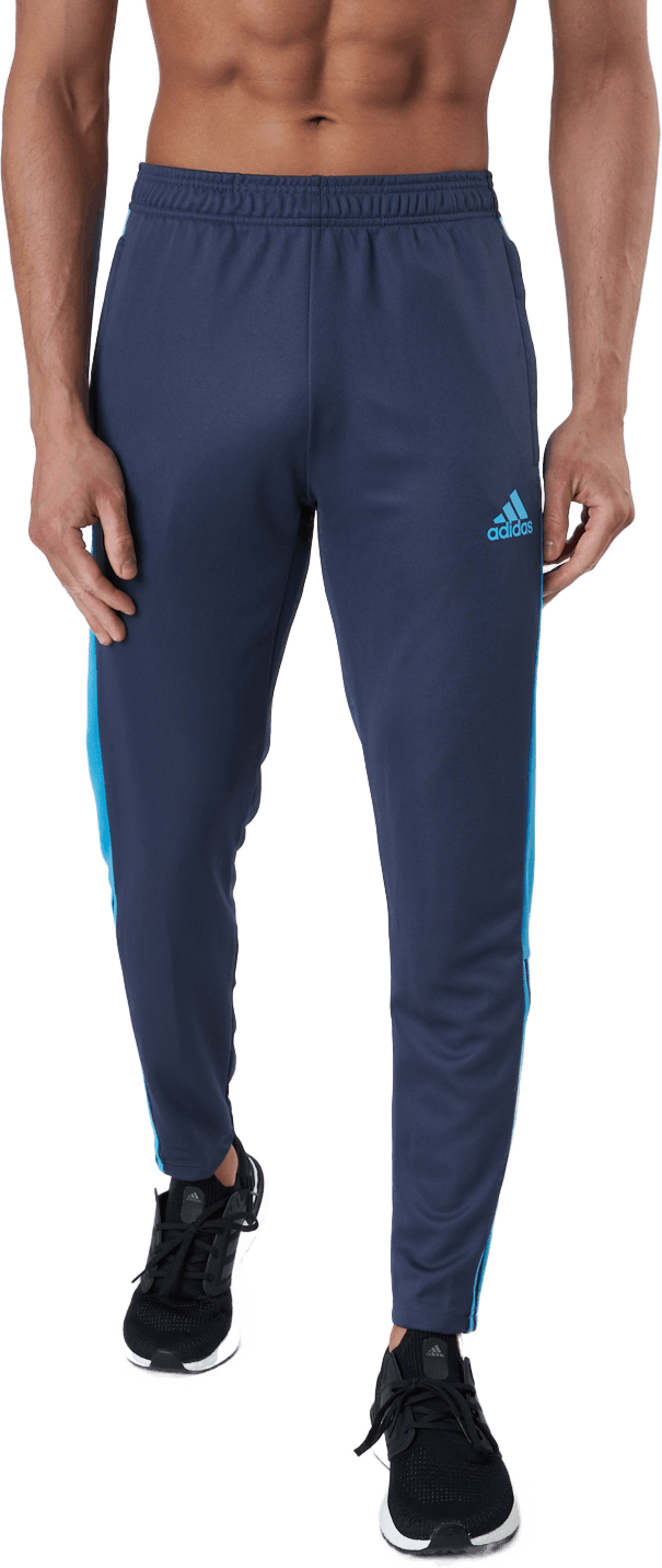 Tiro Tr Pnt Es Shadow Navy, Male, Odzież, Spodnie, Piłka nożna, Niebieski, XL