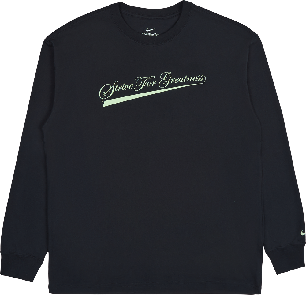 LeBron Lion Ls Max90 Tee, Male, Odevy, Tričko, Čierna, S