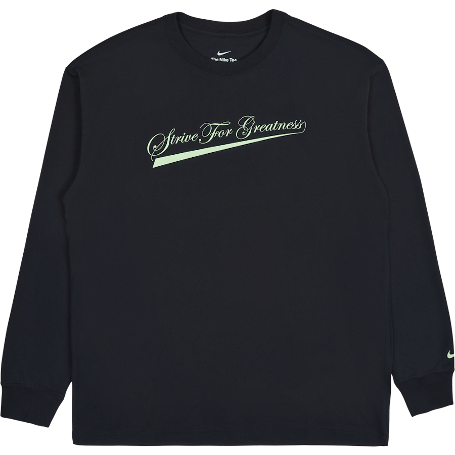 LeBron Lion Ls Max90 Tee