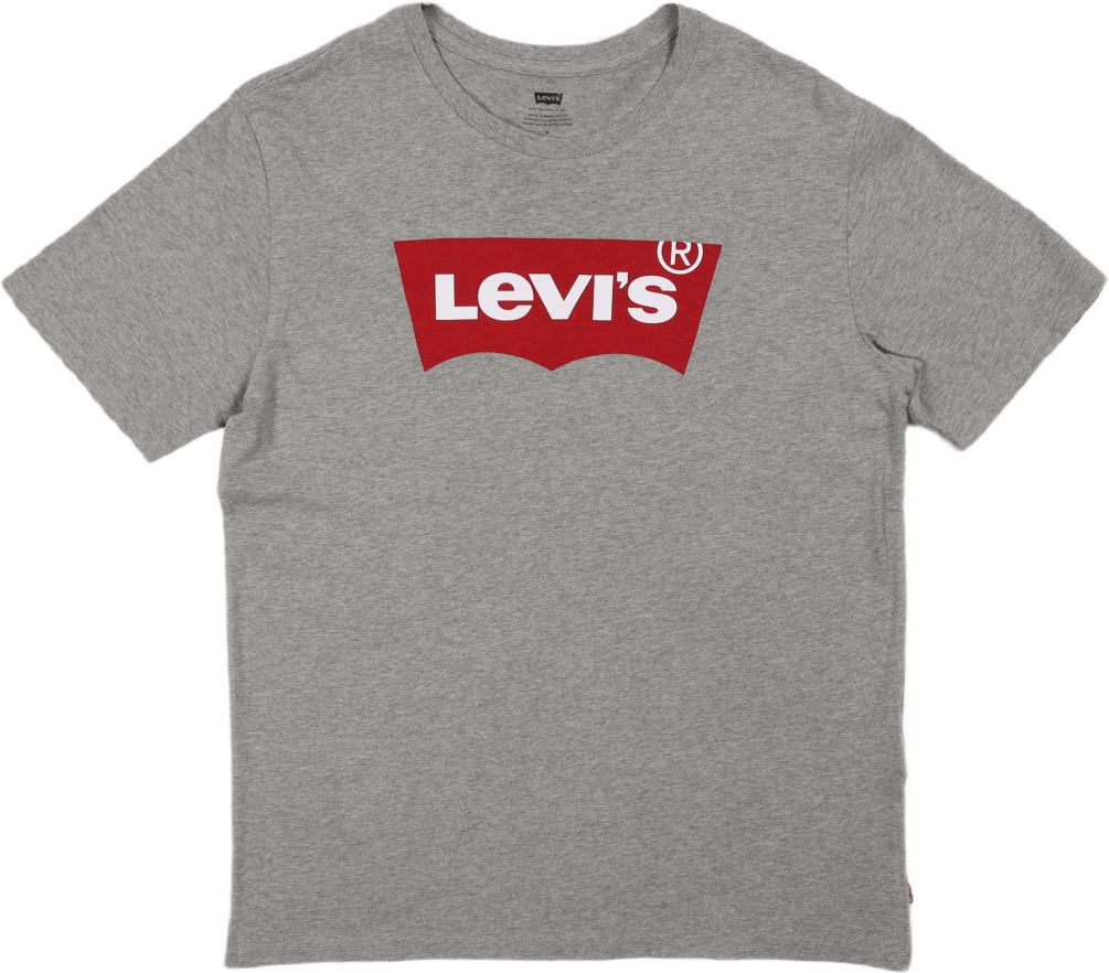 Graphic Setin Neck Graphic H21 Grey