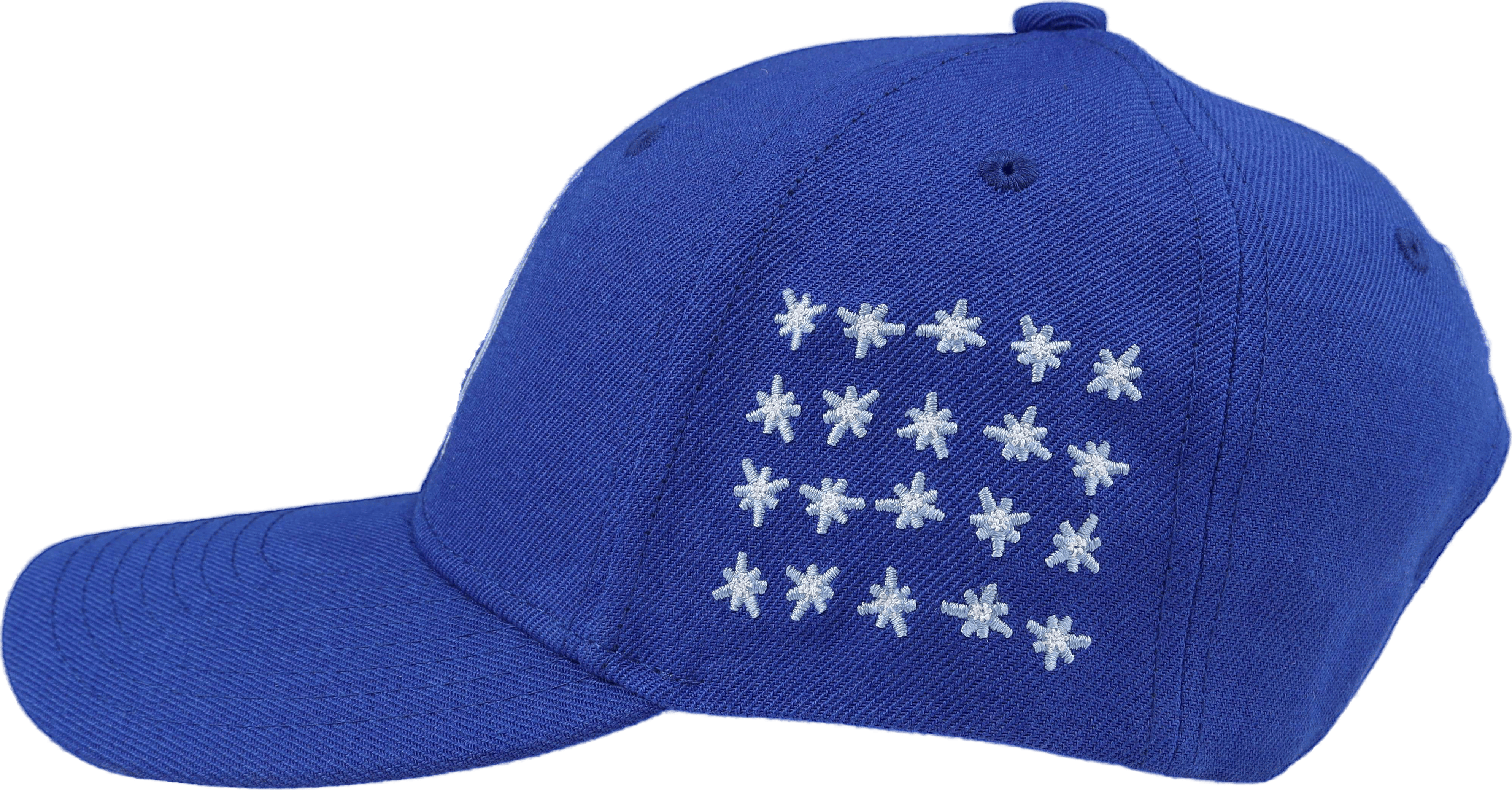 Anniversary 6 Panel Hat Blue - Bild 3