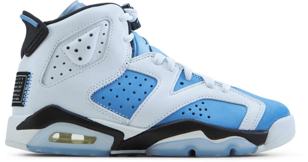retro 6 jordan's