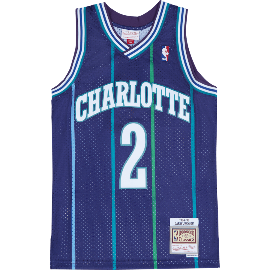 Swingman Jersey -Larry Johnson