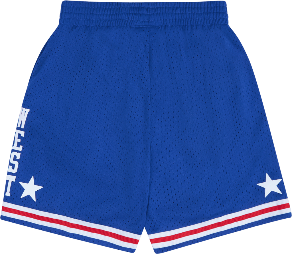 Swingman Shorts Royal - Bild 2