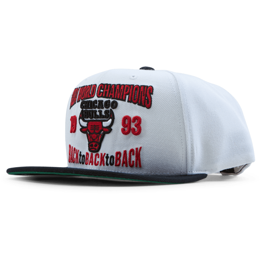 Bulls Back To 93 Snapback