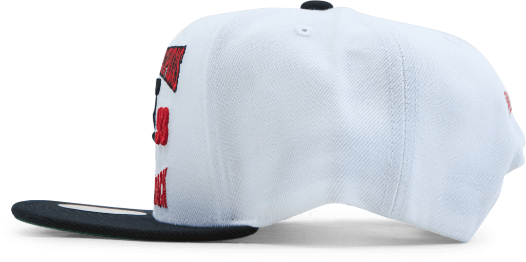 Bulls Back To 93 Snapback - Bild 2