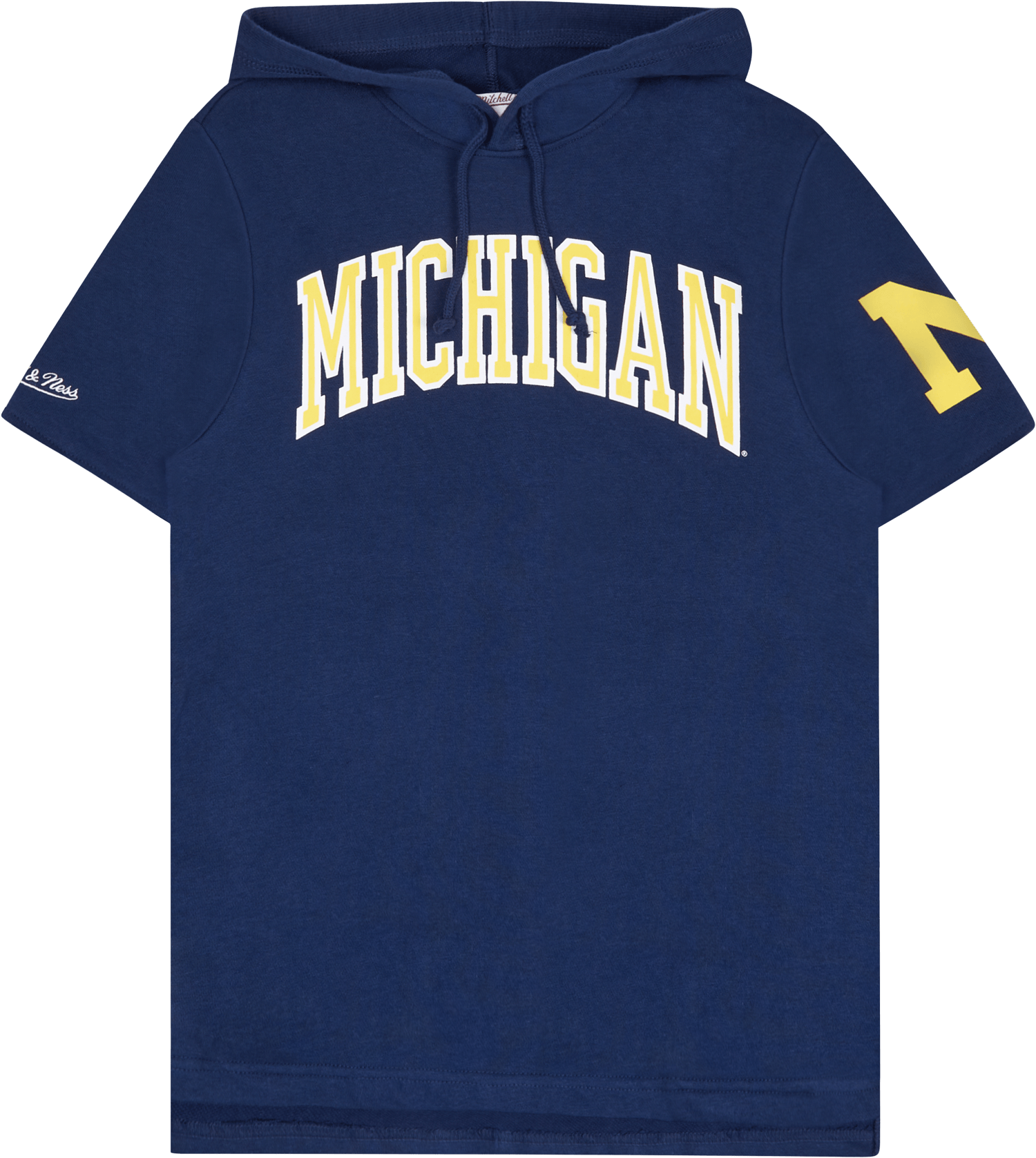Michigan Gameday Ss Ft Hoodie