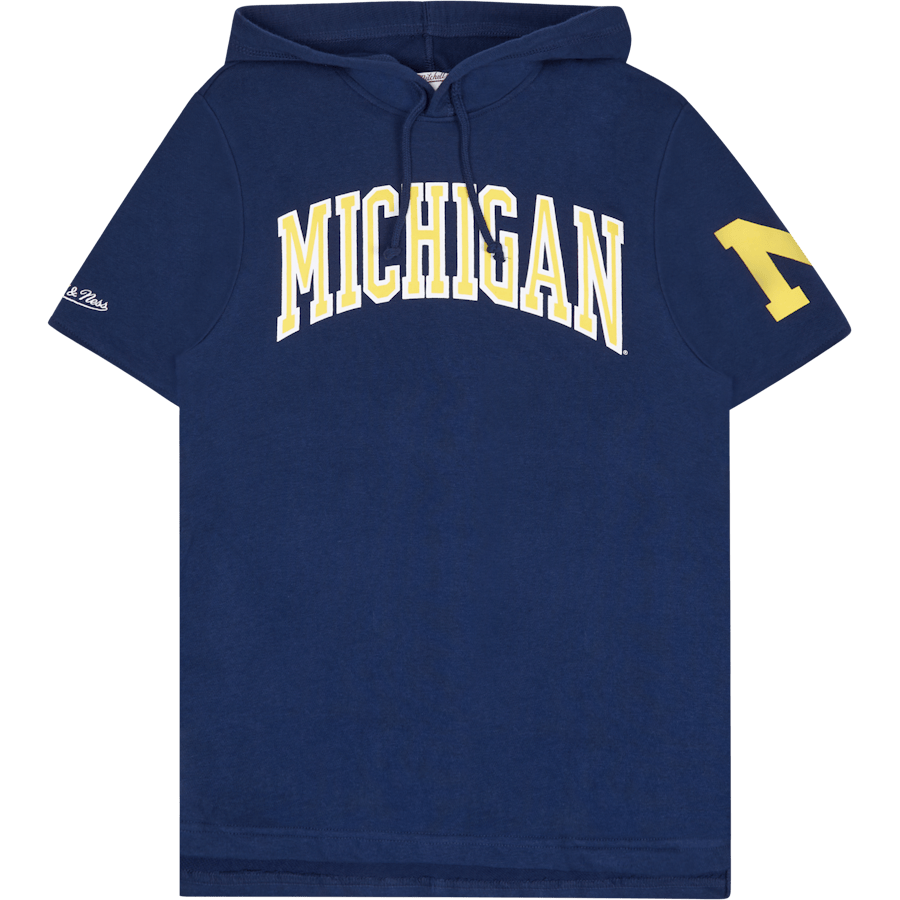 Michigan Gameday Ss Ft Hoodie