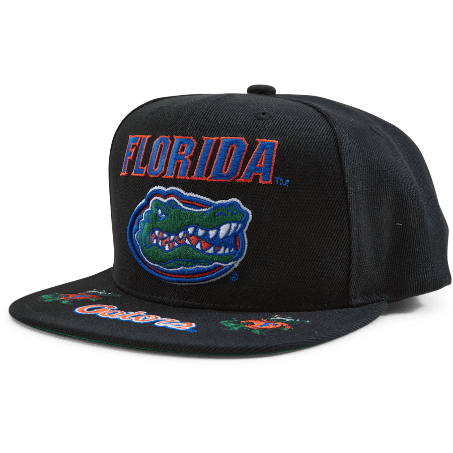 Gators Front Loaded Snapback