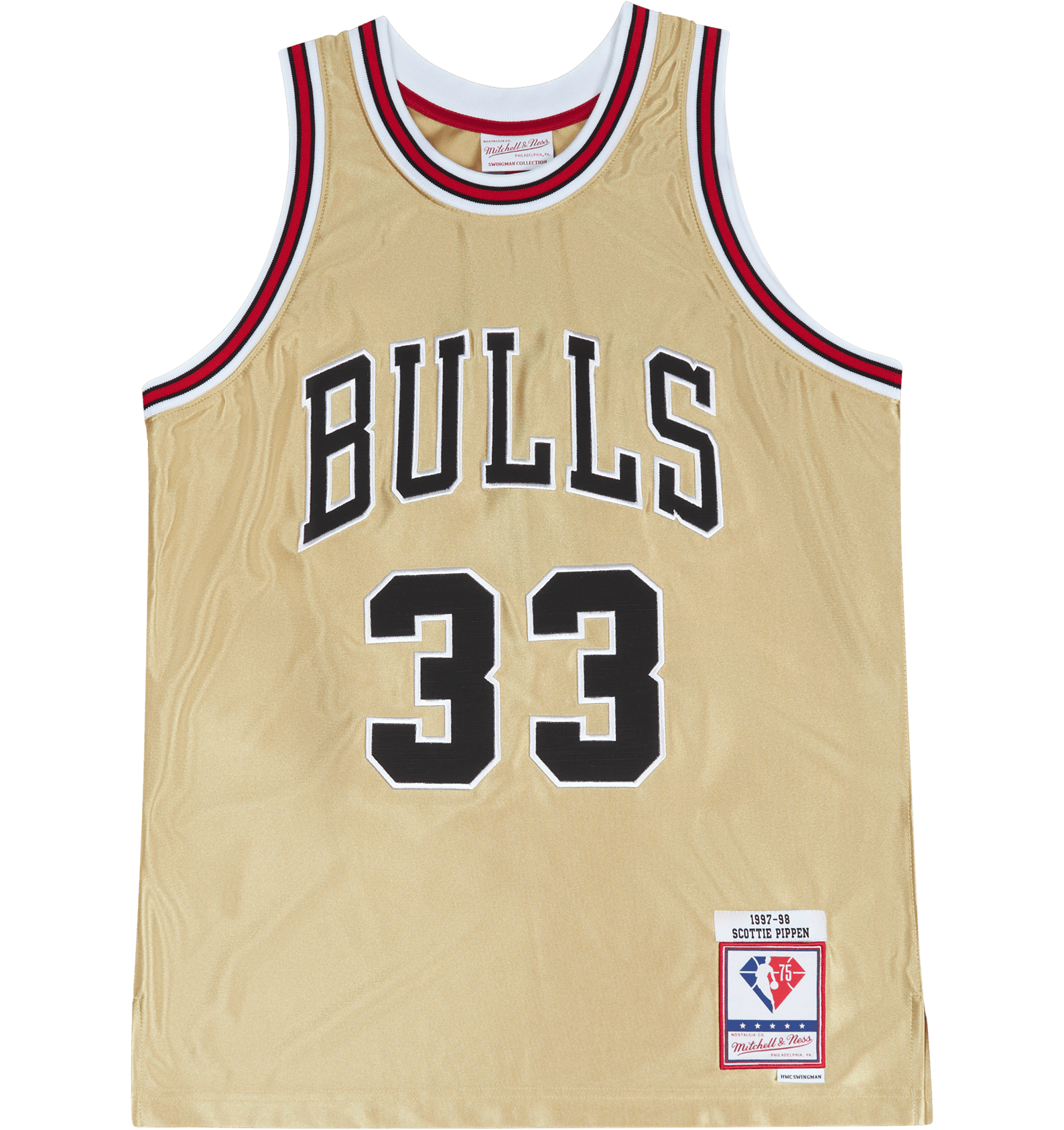 Bulls Nba 75th Swingman