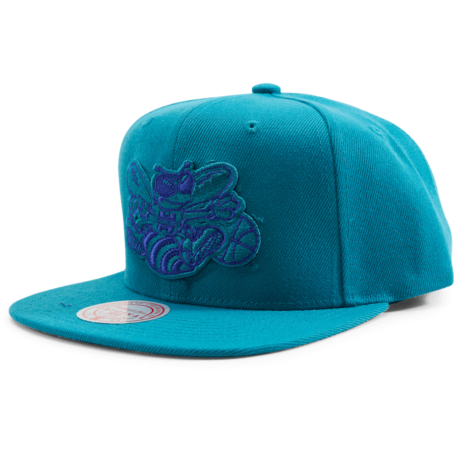 Hornets Two Tonal Snapback HWC