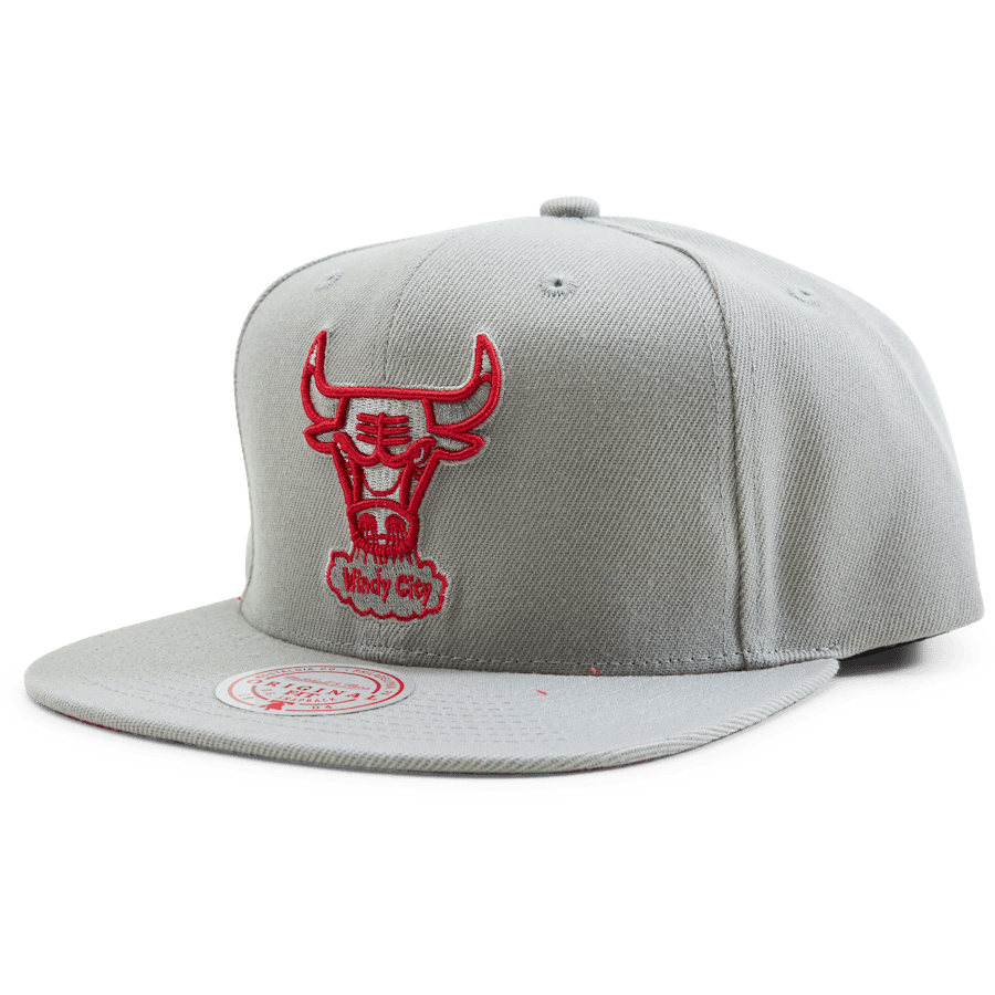 Bulls 2 Tonal Snapback HWC