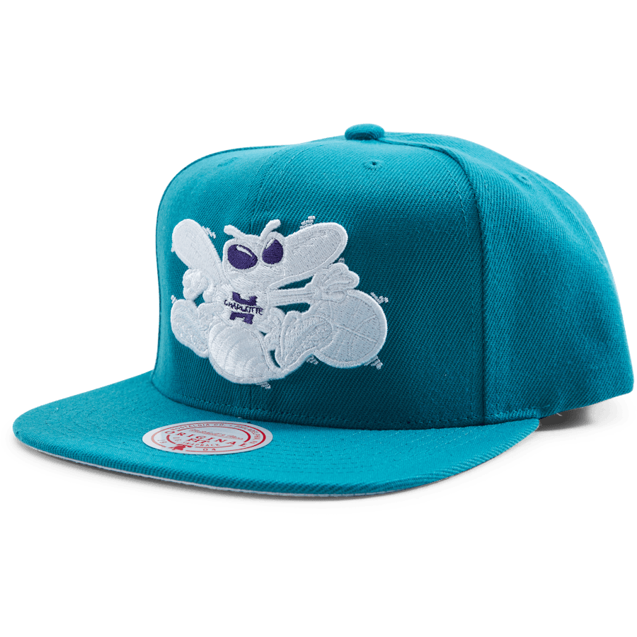 Hornets Color Popz Snapback
