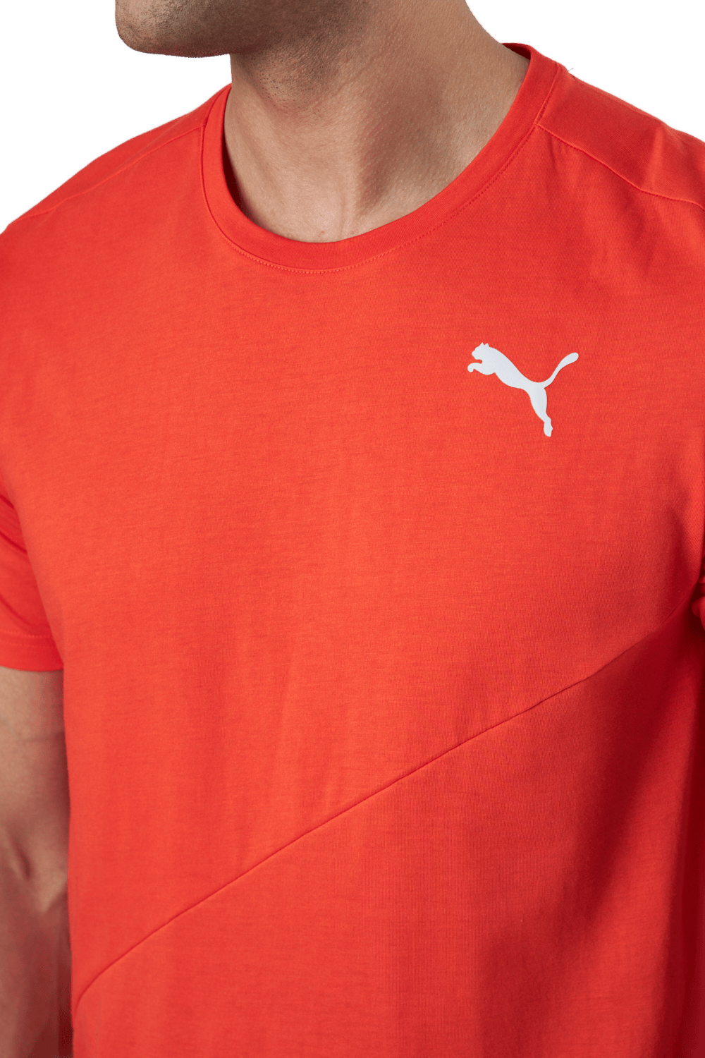 Train Logo Ss Tee Cherry Tomato - Bild 4