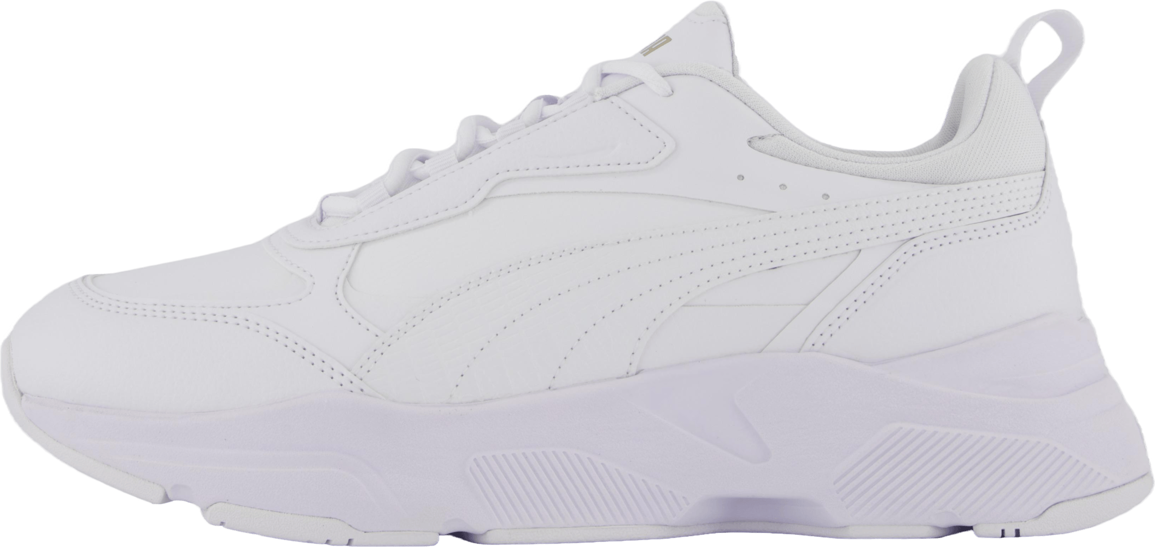 Cassia Sl Puma White-puma White-puma Tea